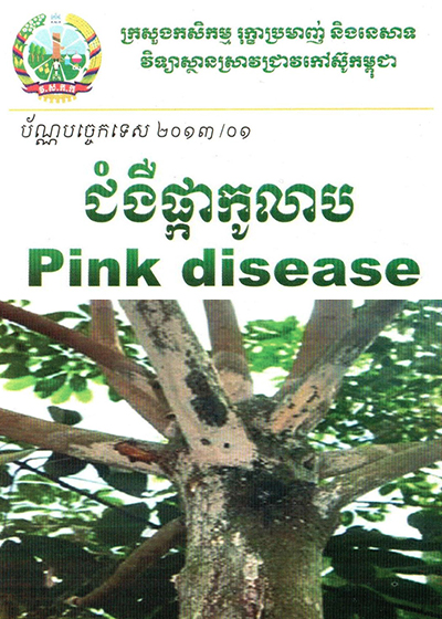 ជំងឺ​ផ្កា​កូលាប Pink disease