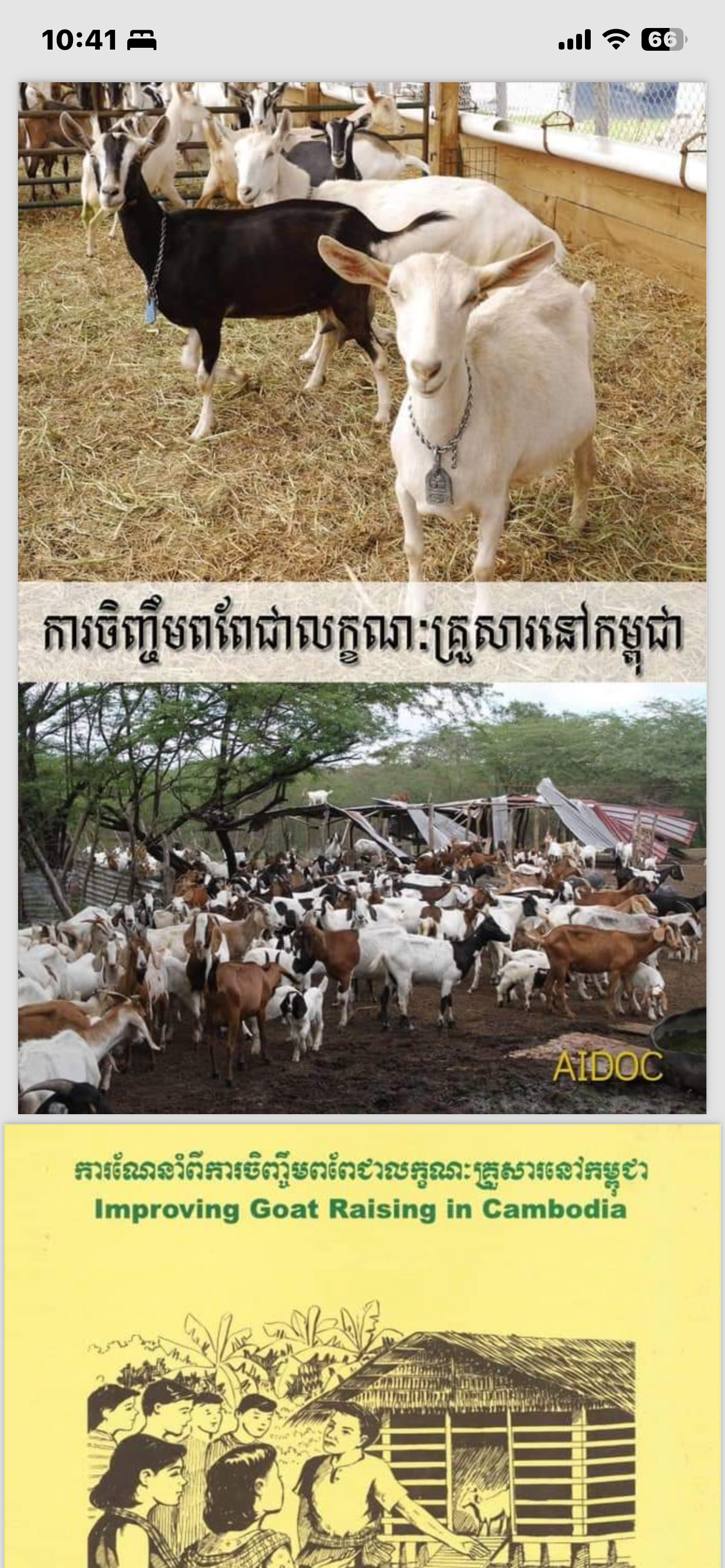 Improving Goat Raising in Cambodia