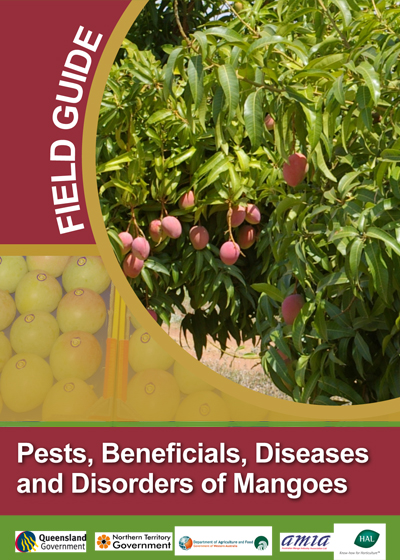 Pests, benefitcials, diseases and disorders of Mangoes