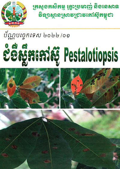 ជំងឺស្លឹកកៅស៊ូ​ Pestatotiopsis