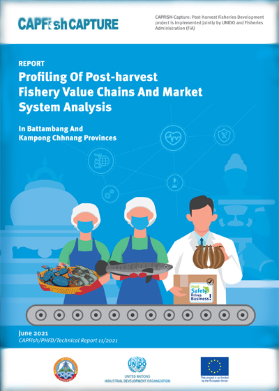 Profiling of post-harvest fishery value chains and market system analysis